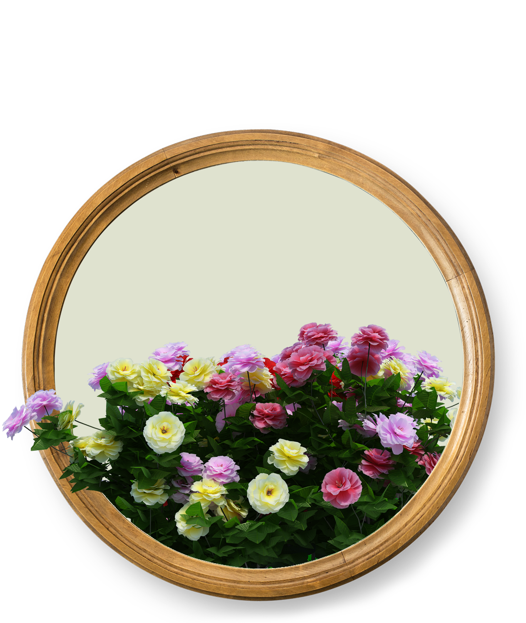 Vybornų medelynas - vienmetės gėlės